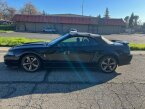 Thumbnail Photo 1 for 2001 Ford Mustang Cobra Convertible for Sale by Owner