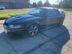 Thumbnail Photo 2 for 2001 Ford Mustang Cobra Convertible for Sale by Owner