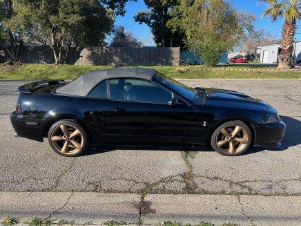 Photo 1 for 2001 Ford Mustang Cobra Convertible for Sale by Owner