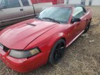 Thumbnail Photo 3 for 2001 Ford Mustang