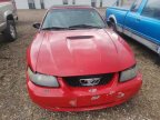 Thumbnail Photo 1 for 2001 Ford Mustang