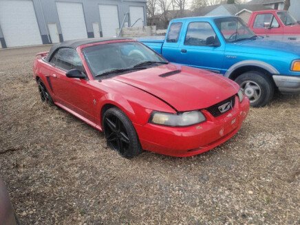 Photo 1 for 2001 Ford Mustang