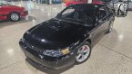 Thumbnail Photo 2 for 2001 Ford Mustang