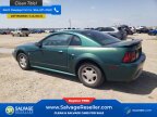 Thumbnail Photo 3 for New 2001 Ford Mustang Coupe