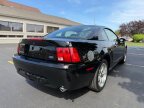 Thumbnail Photo 6 for 2001 Ford Mustang