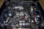 Thumbnail Photo 6 for 2001 Ford Mustang
