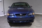 Thumbnail Photo 1 for 2001 Ford Mustang