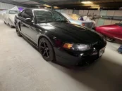 2001 Ford Mustang Cobra Coupe