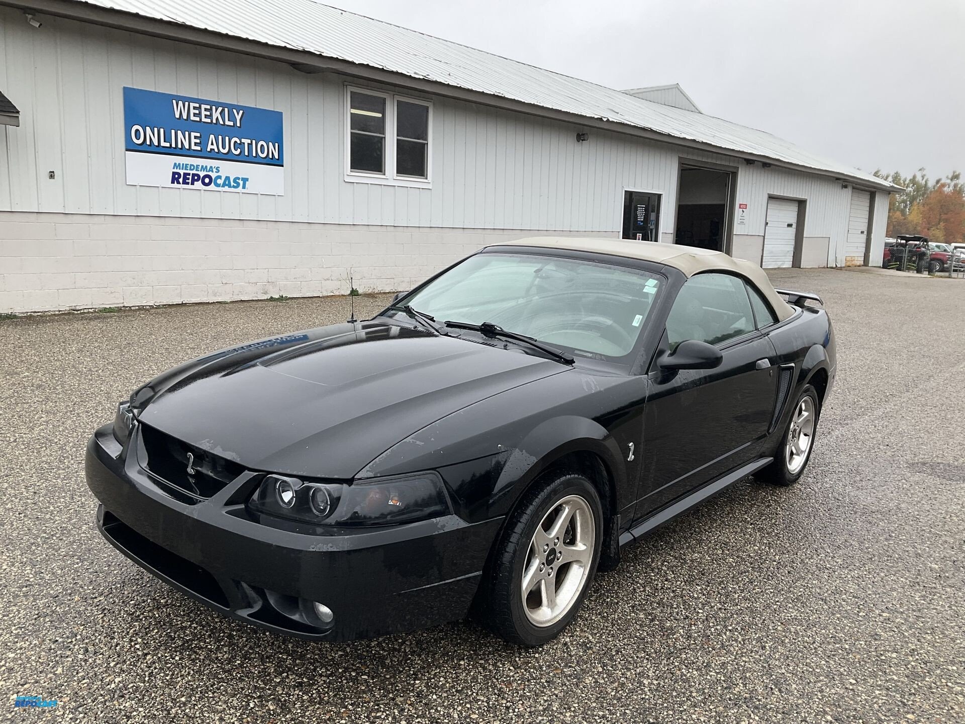 2001 Ford Mustang Cobra Convertible