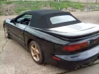 Thumbnail Photo 4 for 2001 Pontiac Firebird Firehawk