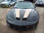 Thumbnail Photo 1 for 2001 Pontiac Firebird Firehawk