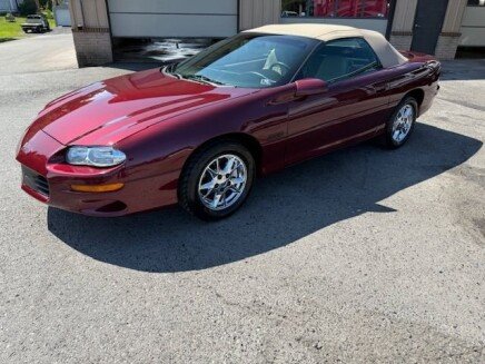 Photo 1 for 2002 Chevrolet Camaro