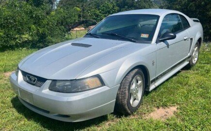 Photo 1 for 2002 Ford Mustang