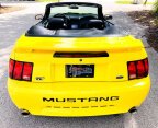 Thumbnail Photo 5 for 2002 Ford Mustang
