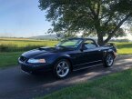 Thumbnail Photo 3 for 2002 Ford Mustang