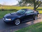 Thumbnail Photo 2 for 2002 Ford Mustang