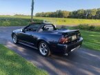 Thumbnail Photo 4 for 2002 Ford Mustang