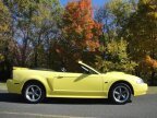 Thumbnail Photo 5 for 2002 Ford Mustang