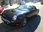 Thumbnail Photo 2 for 2002 Ford Thunderbird 50th Anniversary