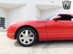 Thumbnail Photo 5 for 2002 Ford Thunderbird