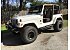 2002 Jeep Wrangler 4WD Sahara