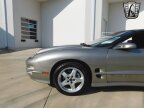 Thumbnail Photo 5 for 2002 Pontiac Firebird Trans Am