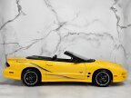 Thumbnail Photo 6 for 2002 Pontiac Firebird Trans Am