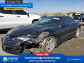 New 2002 Pontiac Firebird Coupe