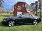 Thumbnail Photo 4 for 2003 Ford Mustang GT Convertible