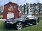 Thumbnail Photo 1 for 2003 Ford Mustang GT Convertible