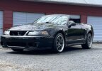 Thumbnail Photo 1 for 2003 Ford Mustang Cobra Convertible