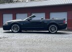 Thumbnail Photo 3 for 2003 Ford Mustang Cobra Convertible
