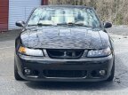 Thumbnail Photo 5 for 2003 Ford Mustang Cobra Convertible