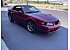 2003 Ford Mustang Cobra Convertible