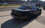 Thumbnail Photo 2 for 2003 Ford Mustang
