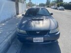Thumbnail Photo 2 for 2003 Ford Mustang