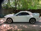 Thumbnail Photo 5 for 2003 Ford Mustang GT