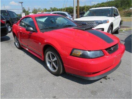 Photo 1 for 2003 Ford Mustang