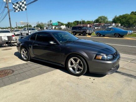 Photo 1 for 2003 Ford Mustang