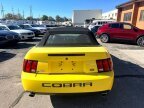Thumbnail Photo 6 for 2003 Ford Mustang