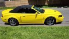 Thumbnail Photo 3 for 2003 Ford Mustang