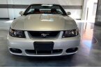 Thumbnail Photo 5 for 2003 Ford Mustang