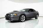 Thumbnail Photo 4 for 2003 Ford Mustang