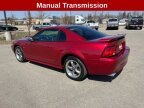 Thumbnail Photo 2 for 2003 Ford Mustang GT