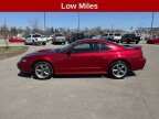 Thumbnail Photo 1 for 2003 Ford Mustang GT