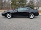 Thumbnail Photo 1 for 2003 Ford Mustang
