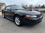 Thumbnail Photo 5 for 2003 Ford Mustang