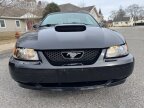 Thumbnail Photo 6 for 2003 Ford Mustang