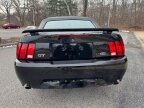 Thumbnail Photo 2 for 2003 Ford Mustang