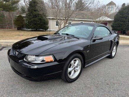 Photo 1 for 2003 Ford Mustang